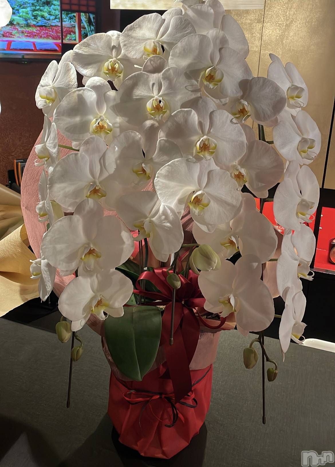 Ʋʥå륺СLOUNGE ICHI (饦󥸥) 2023ǯ422ָ̥֥ĳ🦋