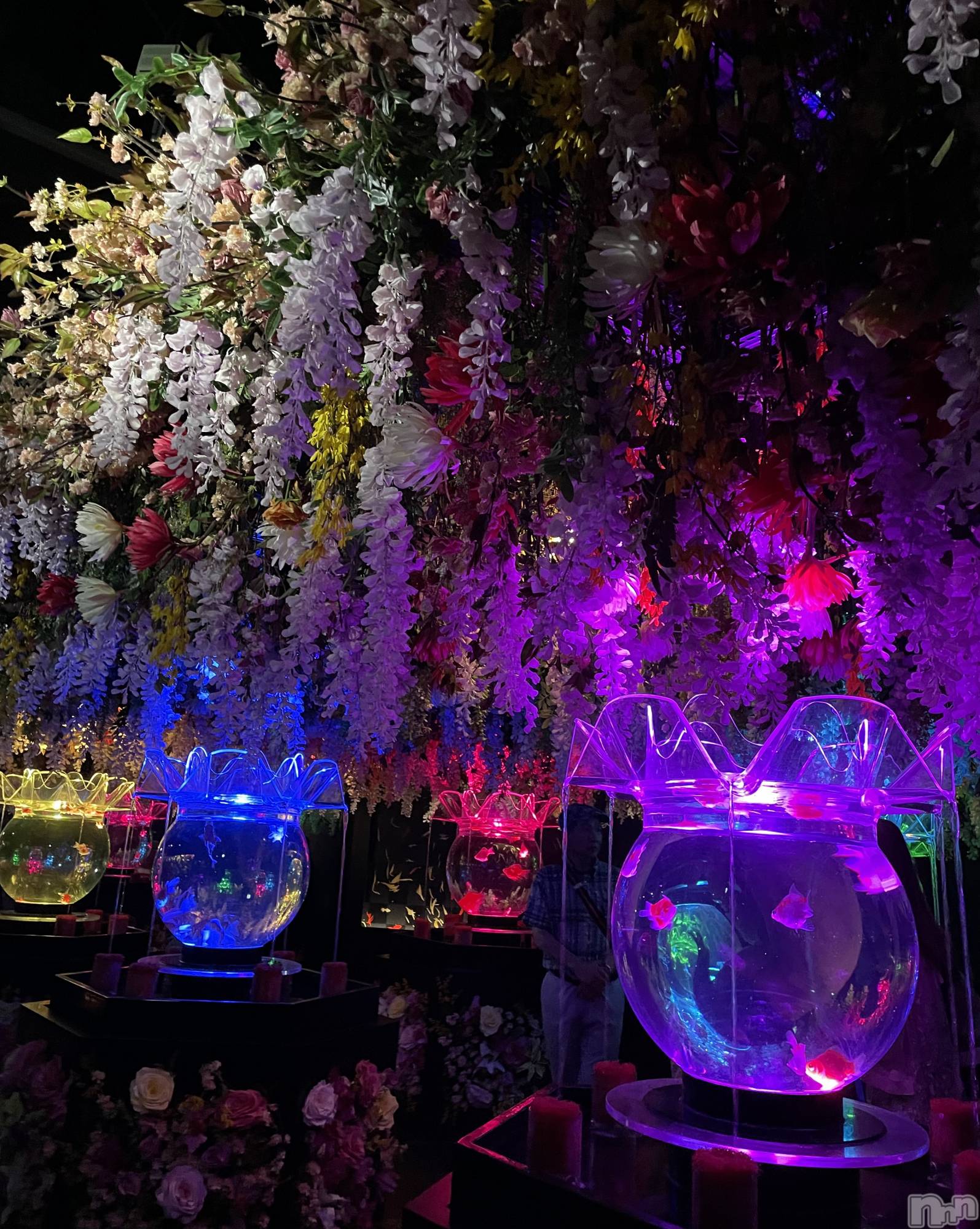 Ʋʥå륺СLOUNGE ICHI (饦󥸥) 2024ǯ914̥֥🐠💐