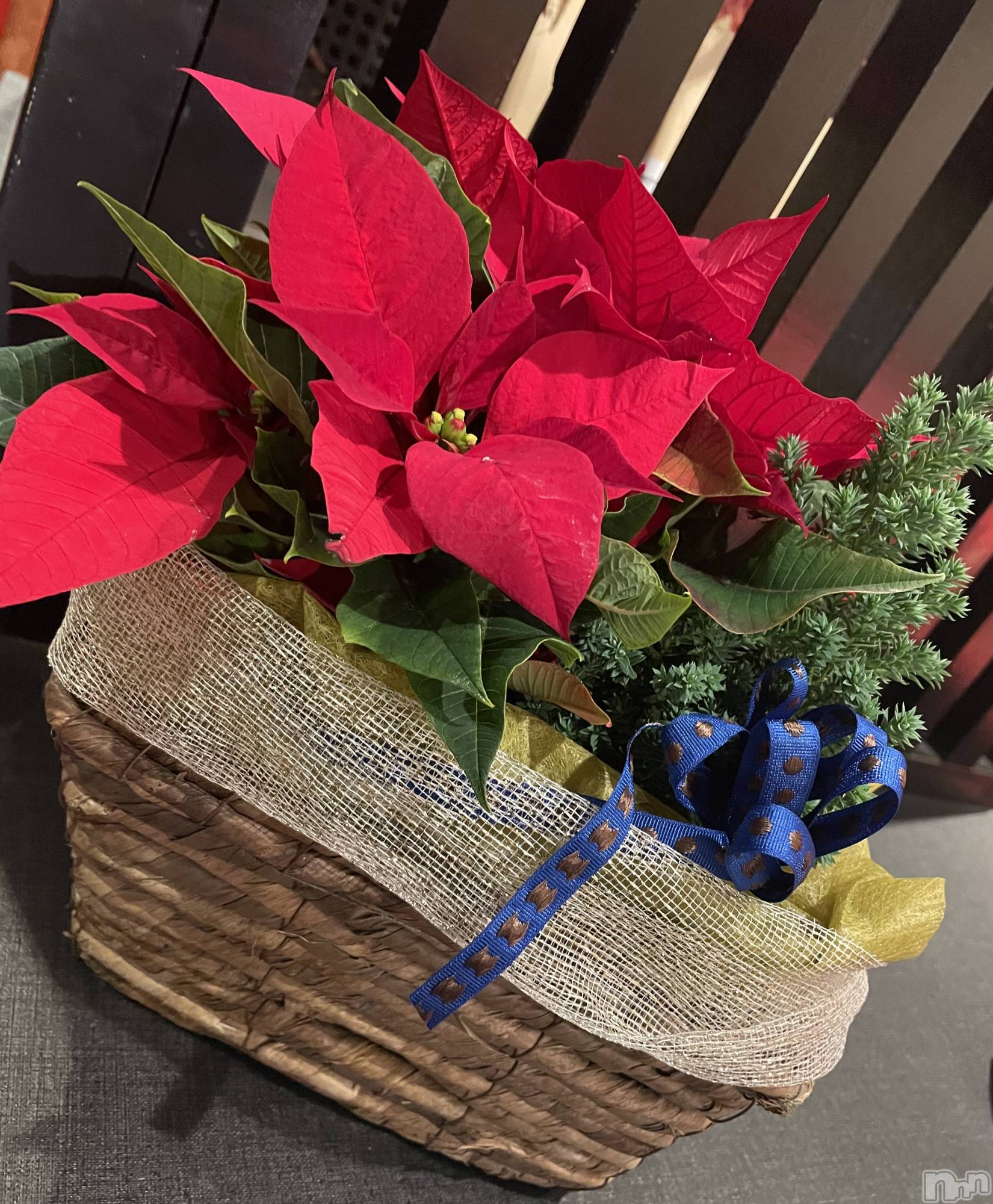 Ʋʥå륺СLOUNGE ICHI (饦󥸥) 2025ǯ1210̥֥❤️