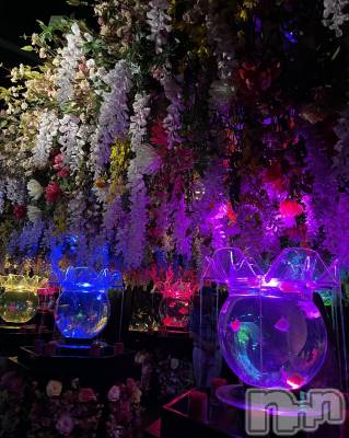 Ʋʥå륺СLOUNGE ICHI (饦󥸥) ꤫914̥֥🐠💐