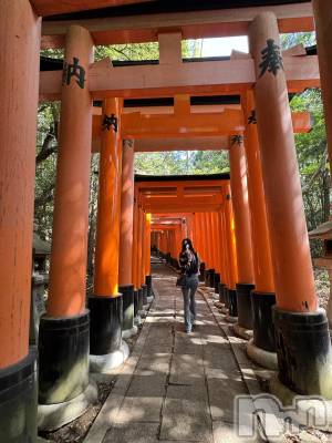 Ʋʥå륺СLOUNGE ICHI (饦󥸥) ꤫523̥֥🦊⛩️