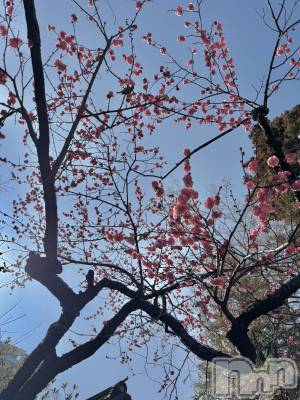 ��Ʋ���ʥå��������륺�С�LOUNGE ICHI ������(�饦�󥸥���) �����꤫��3��2���̥�֥�����🕊️��