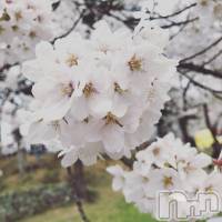 報告です！