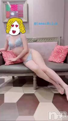 静止画？