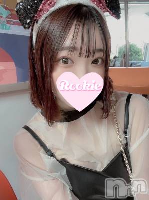 ねお☆坂道系18歳美少女(18) 身長162cm、スリーサイズB83(C).W56.H84。長岡デリヘル ROOKIE(ルーキー)在籍。