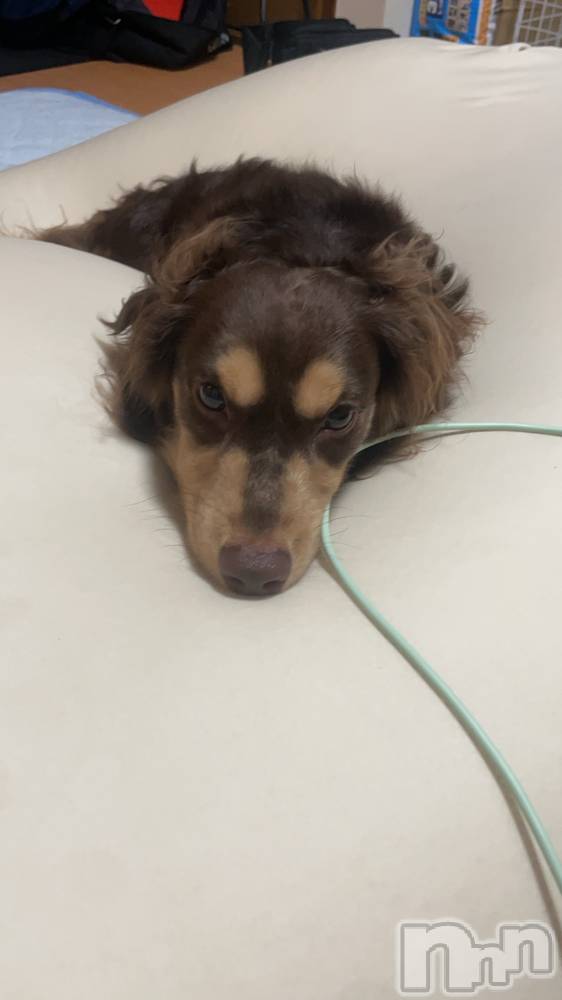 ƲХ顦THE LOUNGE (饦󥸥ե)  ǵ125̥֥՞⸝⸝ᵒ̴̶̷ 𓈞 ᵒ̴̶̷⸝⸝՞