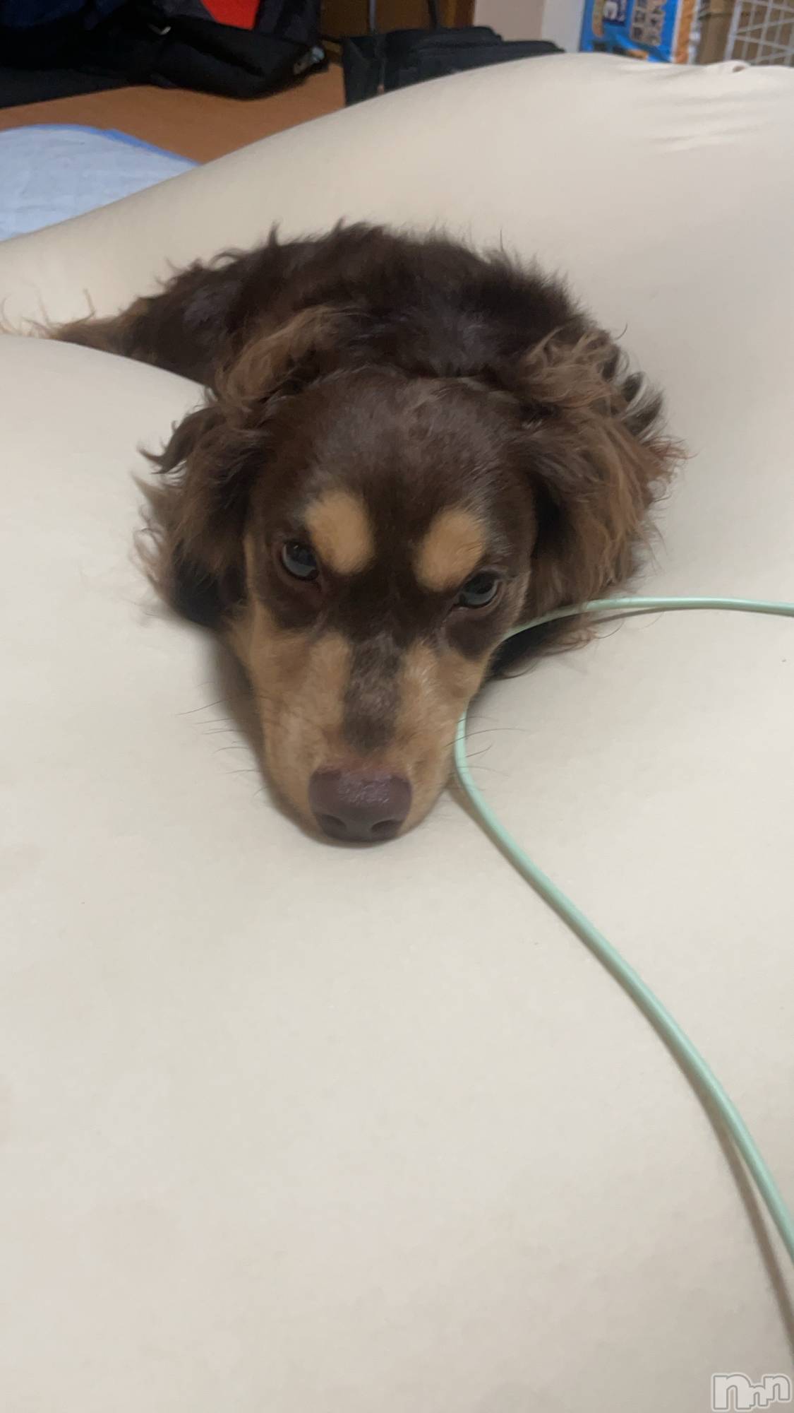 ƲХ顦THE LOUNGE (饦󥸥ե) 2025ǯ125̥֥՞⸝⸝ᵒ̴̶̷ 𓈞 ᵒ̴̶̷⸝⸝՞