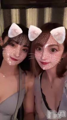 Ꮚ꒰˵• ﻌ •˵꒱Ꮚ