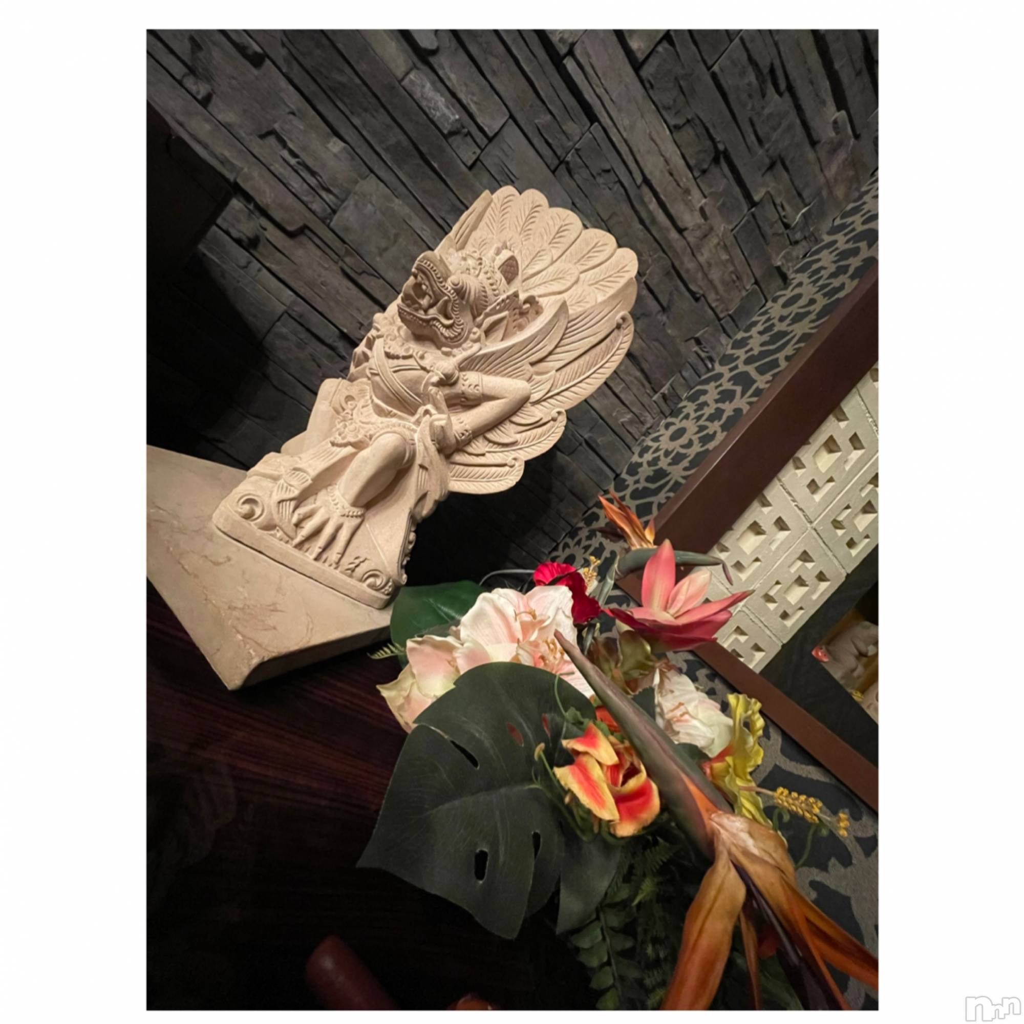 ƲХ顦151-A() 2023ǯ623̥֥2023/06/23