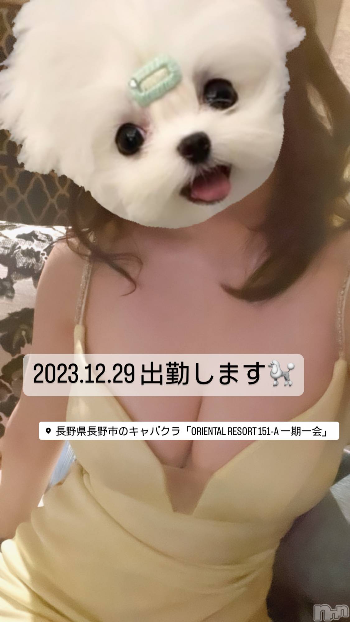 ƲХ顦151-A() 2023ǯ1229̥֥1229 1919ʬΥ֥