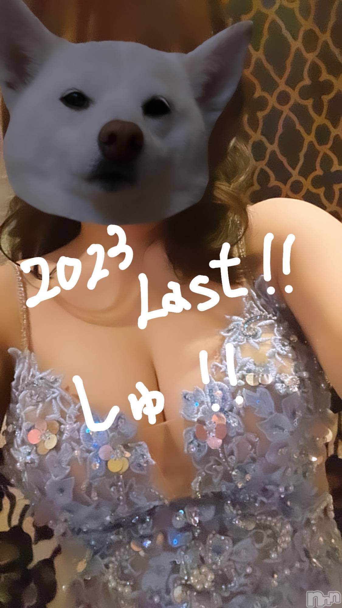 ƲХ顦151-A() 2023ǯ1230̥֥1230 1915ʬΥ֥