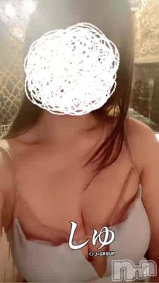 528 2001ʬΥ֥