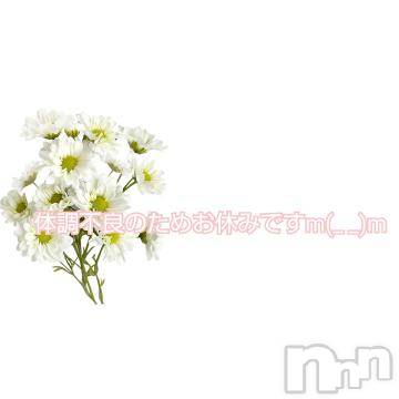 長岡デリヘル 長岡市総合デリヘル COLOR～デリヘル・手コキ・密着エステ～(ナガオカシソウゴウデリヘルカラー) ももか☆☆(33)の4月26日写メブログ「本日お休みです🙇‍♀」