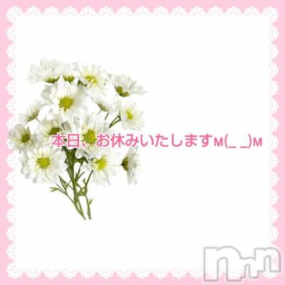 長岡デリヘル 長岡市総合デリヘル COLOR～デリヘル・手コキ・密着エステ～(ナガオカシソウゴウデリヘルカラー) ももか☆☆(33)の2月19日写メブログ「本日お休みいたします🙇‍♀」
