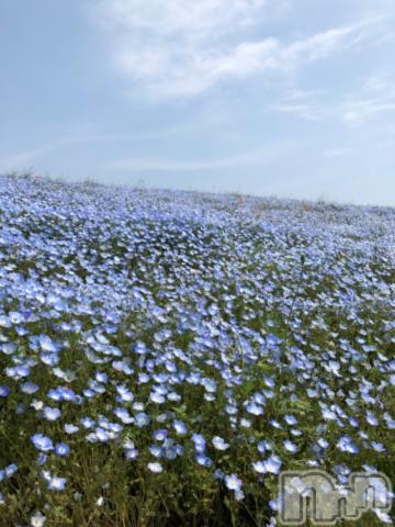 上田発人妻デリヘルBIBLE～奥様の性書～(バイブル～オクサマノセイショ～) ★カナミ★体験(35)の4月28日写メブログ「ありがとう」