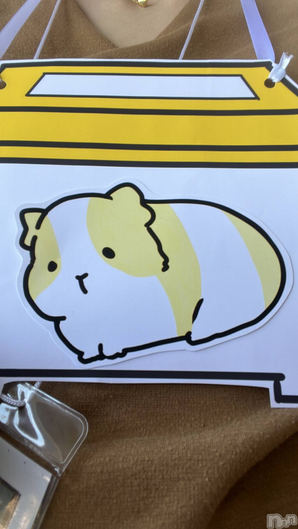 ʥå륺С饪աɥС Mimi(饪աɥС ߥ) 2023ǯ62̥֥֤🐹🦎
