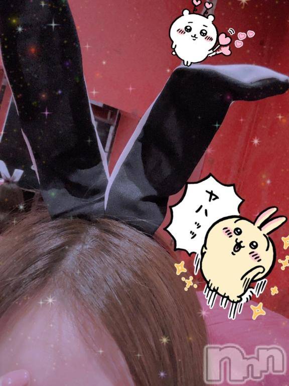 新潟ソープ新潟バニーコレクション(ニイガタバニーコレクション)ホシナ(24)の2025年12月4日写メブログ「後半も💪」