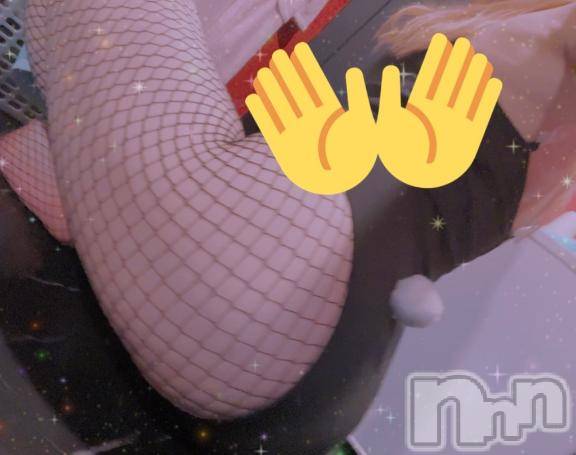 新潟ソープ新潟バニーコレクション(ニイガタバニーコレクション)ホシナ(24)の2026年1月15日写メブログ「9じしゅっきん！」