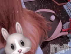 新潟ソープ新潟バニーコレクション(ニイガタバニーコレクション) ホシナ(24)の5月7日写メブログ「ありがとうございました😇」