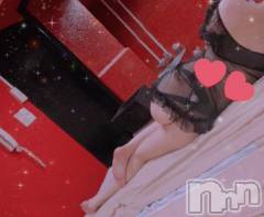 新潟ソープ新潟バニーコレクション(ニイガタバニーコレクション) ホシナ(24)の10月14日写メブログ「最終日まで😇」