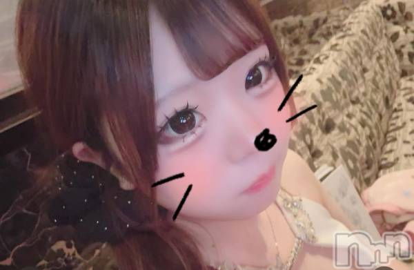 ��Ʋ����Х��顦�����JARDIN CLUB(�������󥯥��) �� 2026ǯ2��6���̥�֥�����2月6日✨️本日13名出勤です🐰⸝꙳��