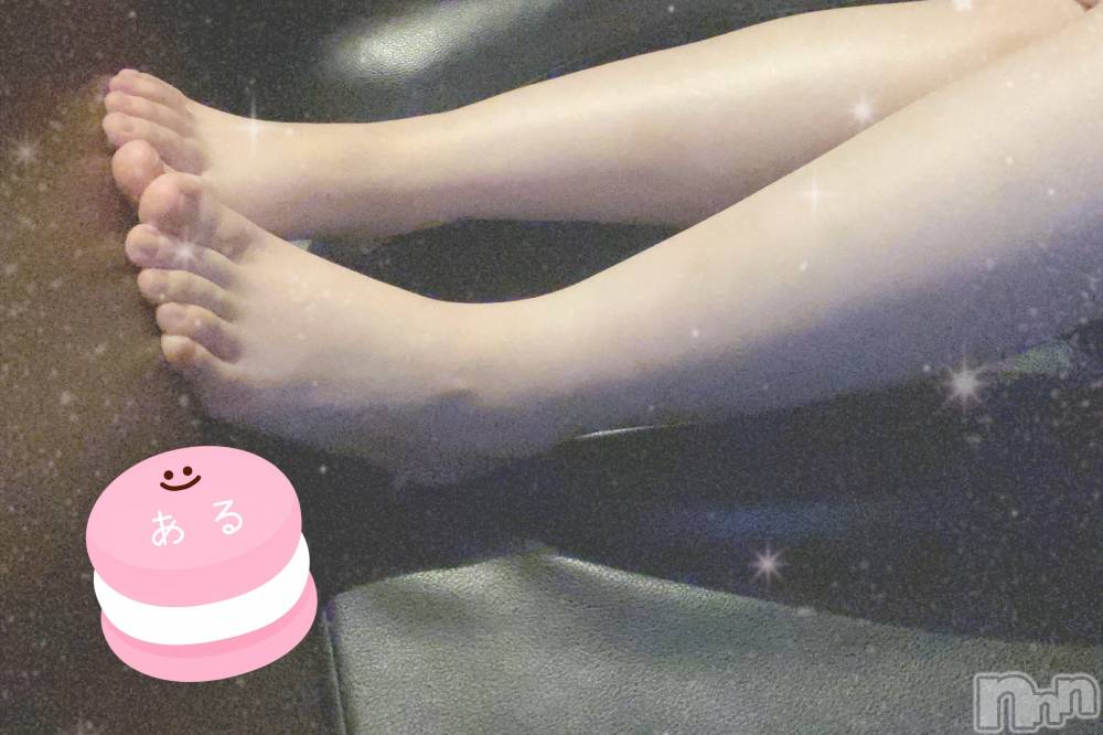 㡦ȯĥꥢ󥺥Ƥޤơ(ޥƥåȥ˥) 529̥֥֤ޤ💝