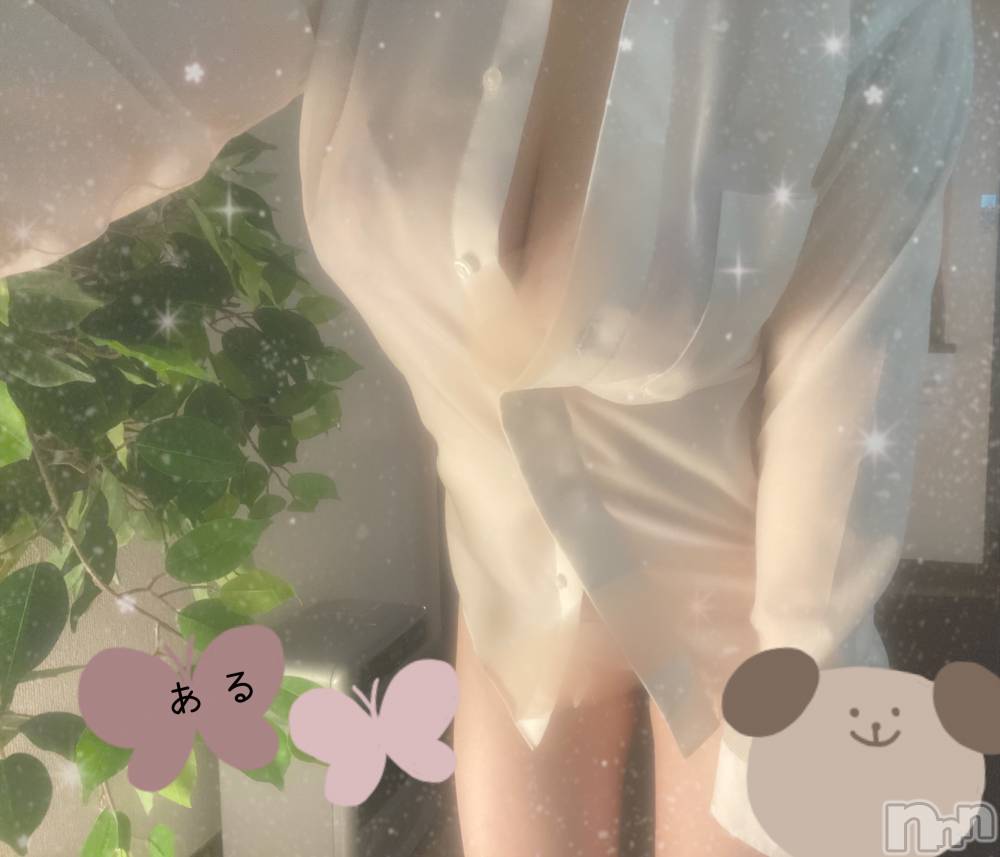 㡦ȯĥꥢ󥺥Ƥޤơ(ޥƥåȥ˥) 822̥֥֤ʤ