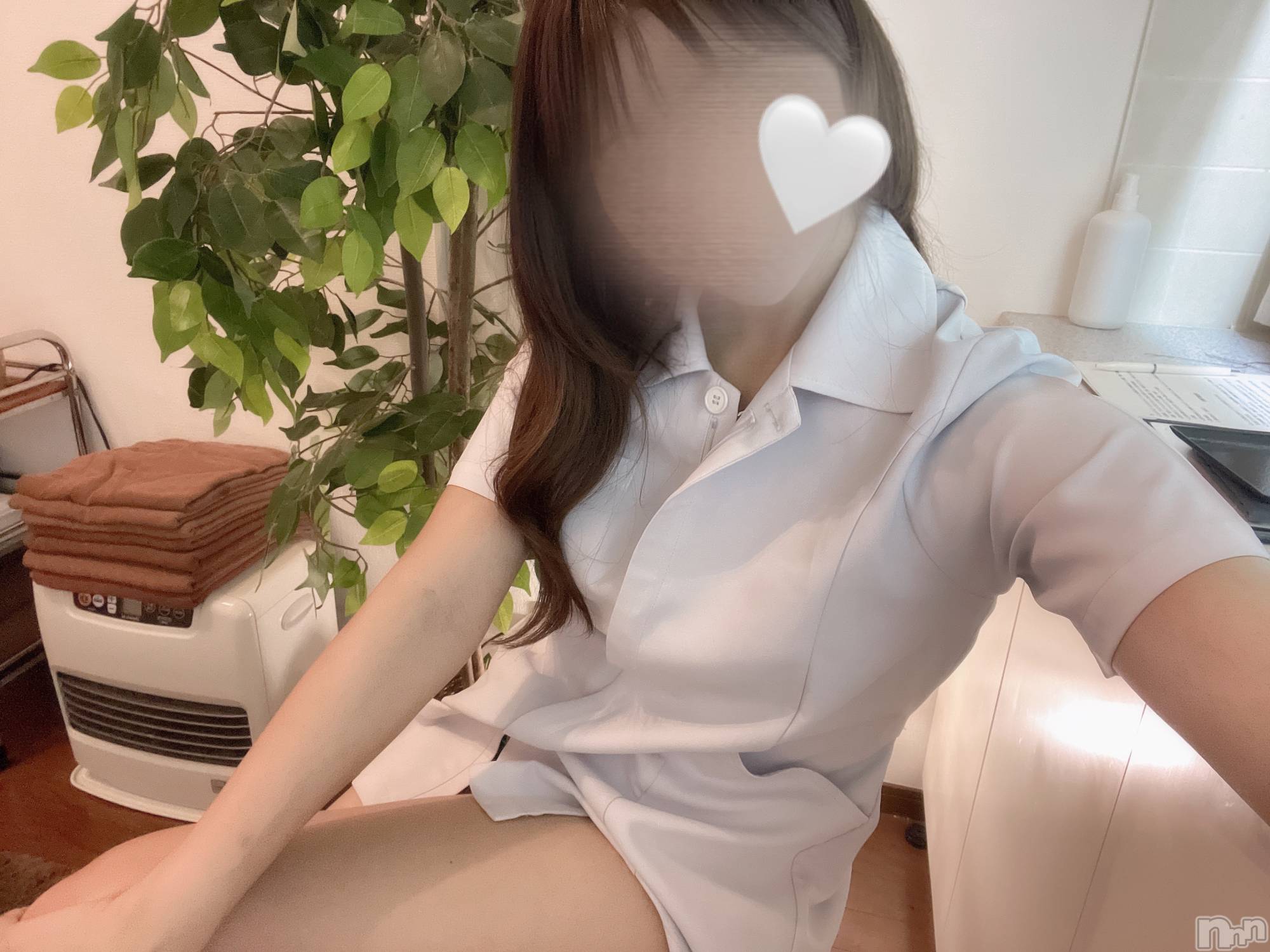 㡦ȯĥꥢ󥺥Ƥޤơ(ޥƥåȥ˥) 2024ǯ95̥֥֤央🤍