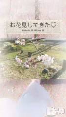 長岡デリヘル長岡市総合デリヘル COLOR～デリヘル・手コキ・密着エステ～(ナガオカシソウゴウデリヘルカラー) ほのか(28)の4月18日動画「【動画】フルーツ飴片手に歩いた🍓」