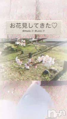 【動画】フルーツ飴片手に歩いた🍓