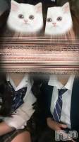 ʥå륺СաɥСӥ٥˥塼 ˤ59̥֥֏*.꒰  Ϥޤ  ꒱.*