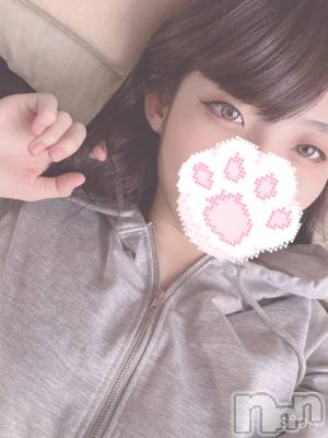 上越デリヘル Flighty cat 気まぐれ猫(キマグレネコ) つむぎ：小顔で小柄、可愛い甘え猫(20)の6月6日写メブログ「遊んでください🥹︎💕︎」