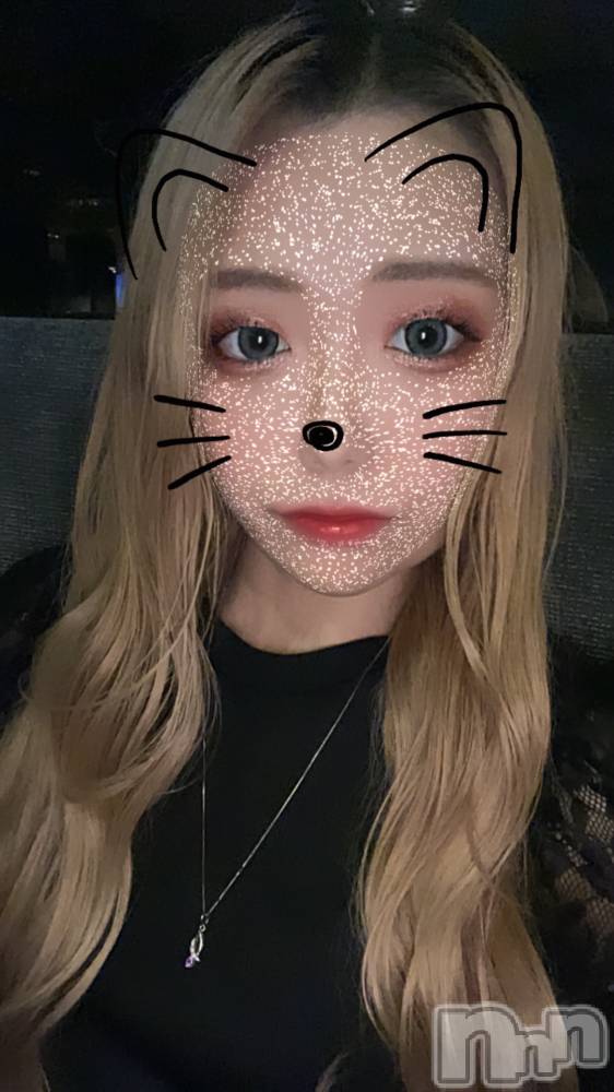 Ʋʥå륺СMuscat`s(ޥå) ʤʤ212̥֥🐱✨️