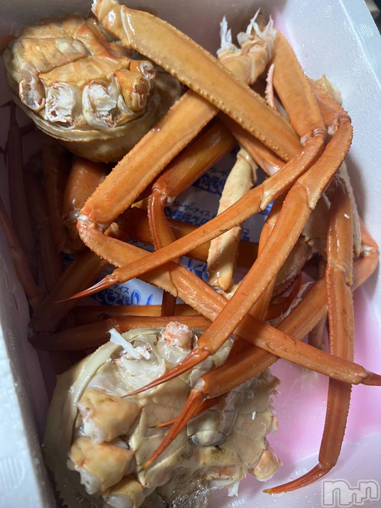 Ʋʥå륺СMuscat`s(ޥå) ʤʤ1014̥֥🦀🦀