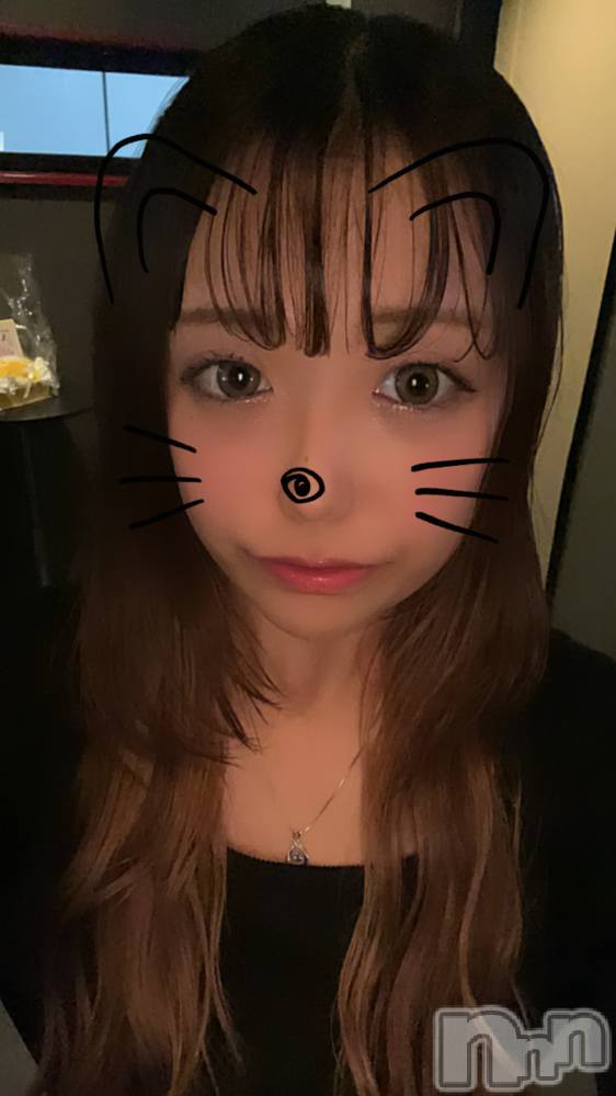 Ʋʥå륺СMuscat`s(ޥå) ʤʤ1024̥֥🐱⭐️