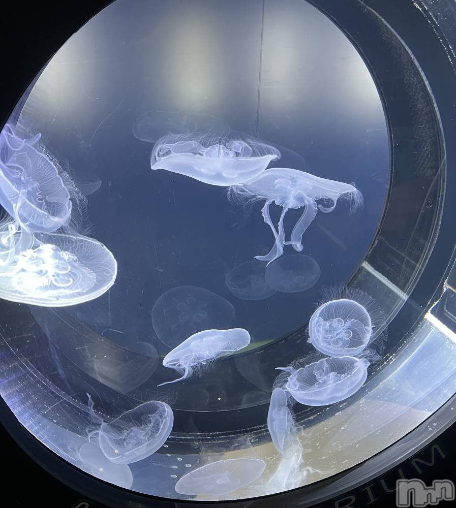 ��Ʋ���ʥå��������륺�С�Muscat`s(�ޥ����å�) �ʤʤ�3��27���̥�֥�����🪼🫧��