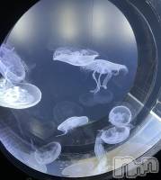 ��Ʋ���ʥå��������륺�С�Muscat`s(�ޥ����å�) �ʤʤ�3��27���̥�֥�����🪼🫧��