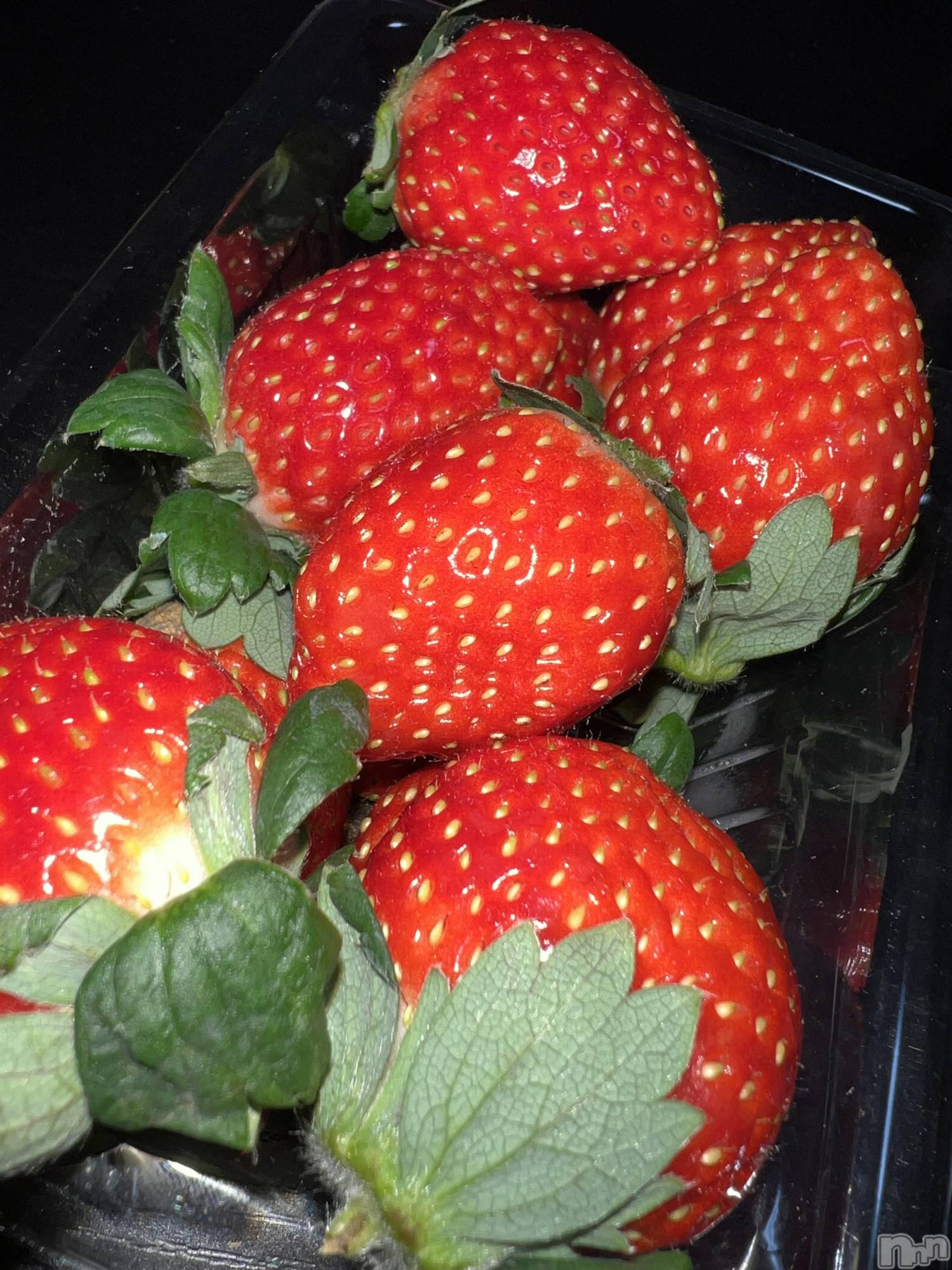 Ʋʥå륺СMuscat`s(ޥå) 2025ǯ128̥֥🍓♡⋆*