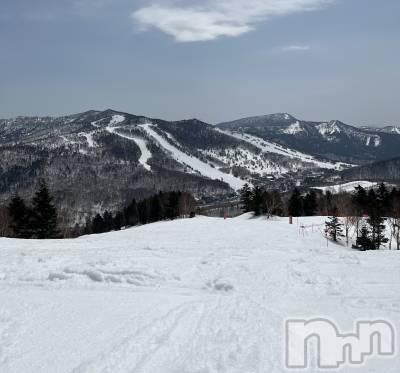 Ʋʥå륺СMuscat`s(ޥå) ʤʤ48ֽ̥֥եΥ🏂