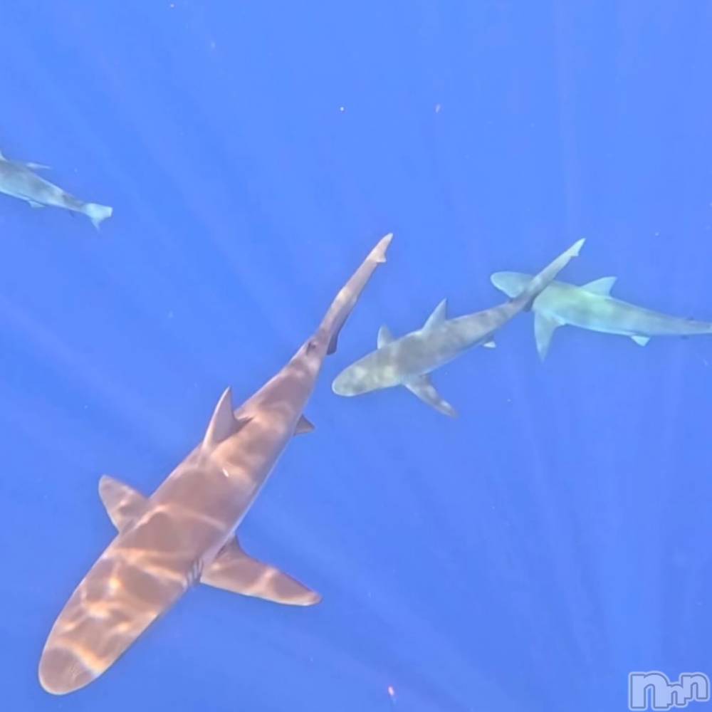 新潟デリヘルCherish Amulet(チェリッシュ アミュレット) もか ≪未経験黒髪美少女≫(20)の11月29日写メブログ「出勤ですー！」