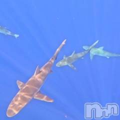 新潟デリヘルCherish Amulet(チェリッシュ アミュレット) もか ≪未経験黒髪美少女≫(20)の11月29日写メブログ「出勤ですー！」