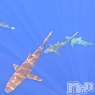 新潟デリヘル Cherish Amulet(チェリッシュ アミュレット) もか ≪未経験黒髪美少女≫(20)の11月29日写メブログ「出勤ですー！」