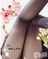 長野風俗エステ salon Ajna(サロンアジュナ) 知花 しずか(31)の写メブログ「」
