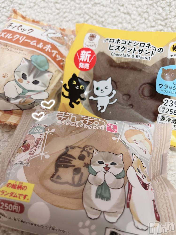 ʥå륺СVeronica-˥-(˥) 223̥֥֤ͤ🐱ྀི