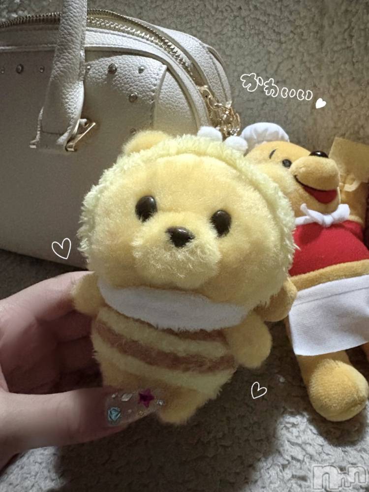 ʥå륺СVeronica-˥-(˥) 818̥֥֤