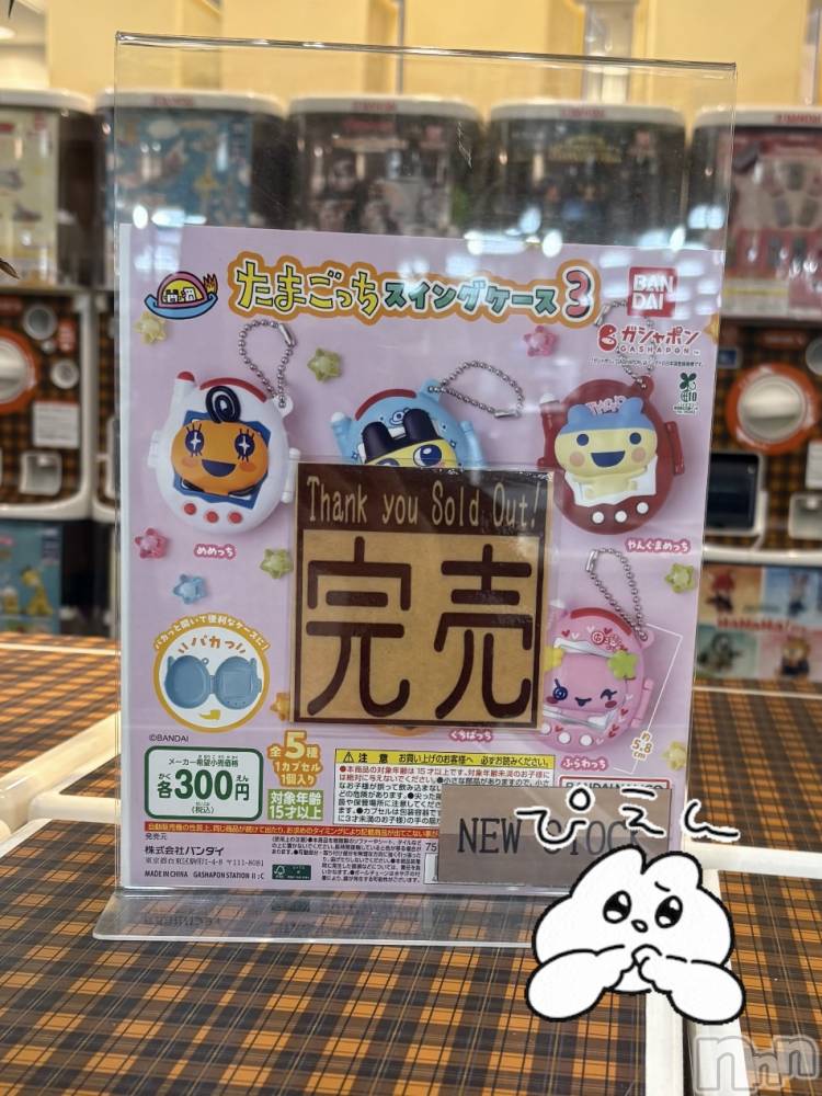 ʥå륺СVeronica-˥-(˥) 112̥֥֥㥬η◓