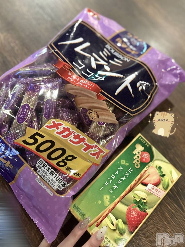 ʥå륺СVeronica-˥-(˥) 1113̥֥֤⤷