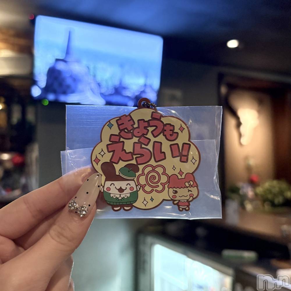 ʥå륺СVeronica-˥-(˥) 1116̥֥˫줿