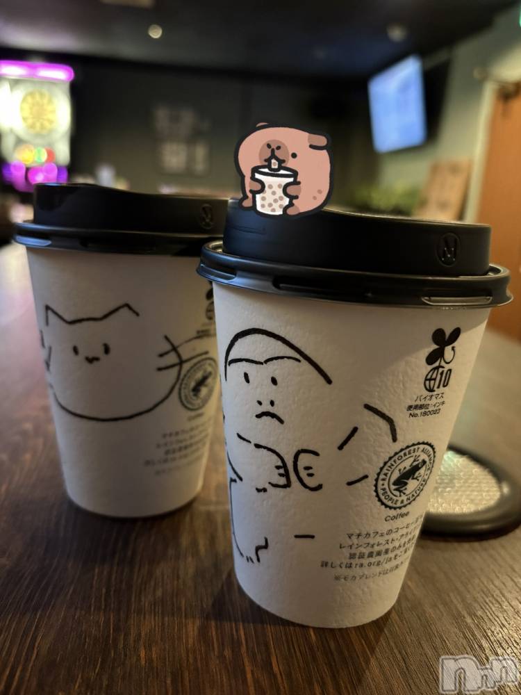 ʥå륺СVeronica-˥-(˥) 1120̥֥֥ݡե