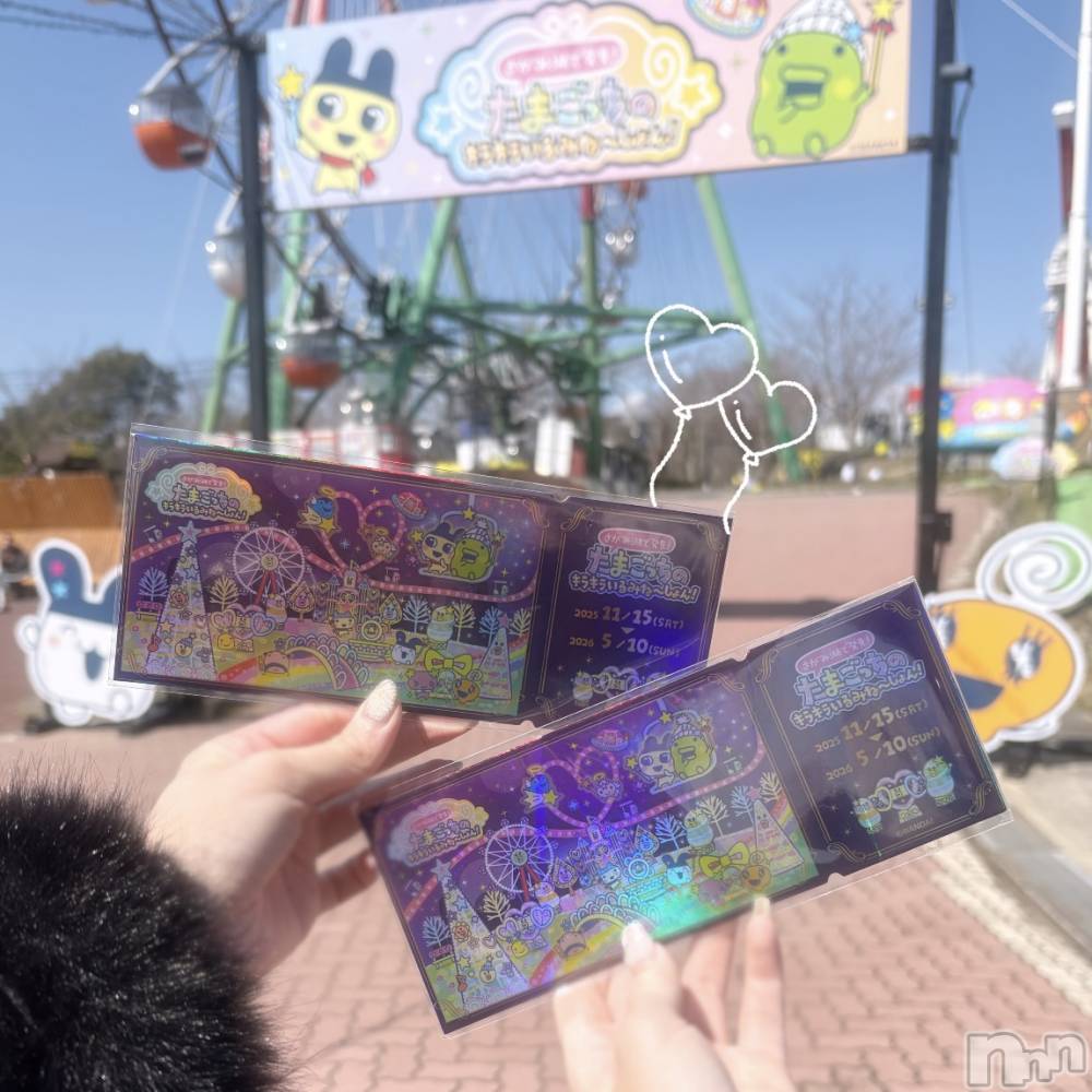 ����������ʥå��������륺�С�Veronica-�������˥�-(�������˥�) ��������3��18���̥�֥����֤ޤ��Ԥ�������